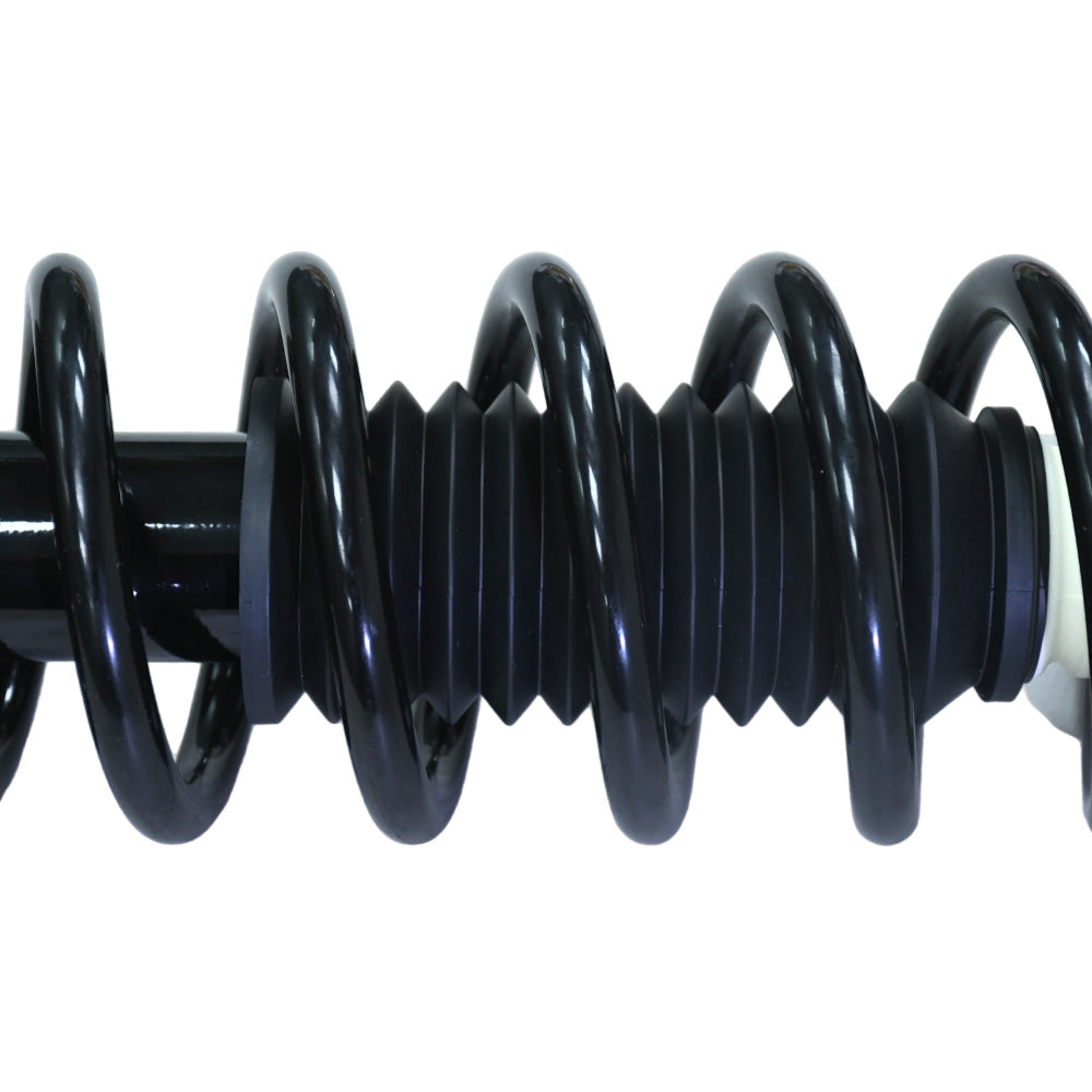 Honda Accord Acura TL 2004-2007 Rear Struts Coil Spring Pair