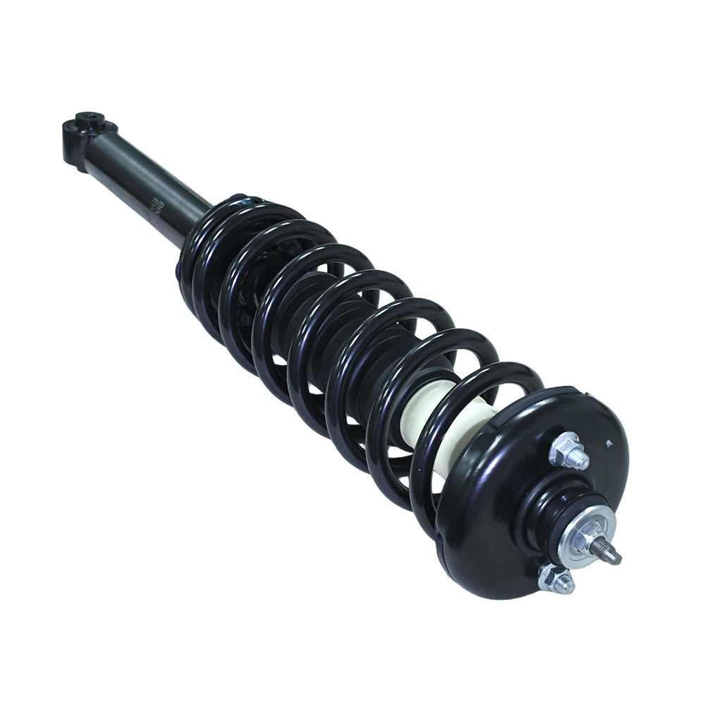 Honda Accord Acura TL 2004-2007 Rear Struts Coil Spring Pair