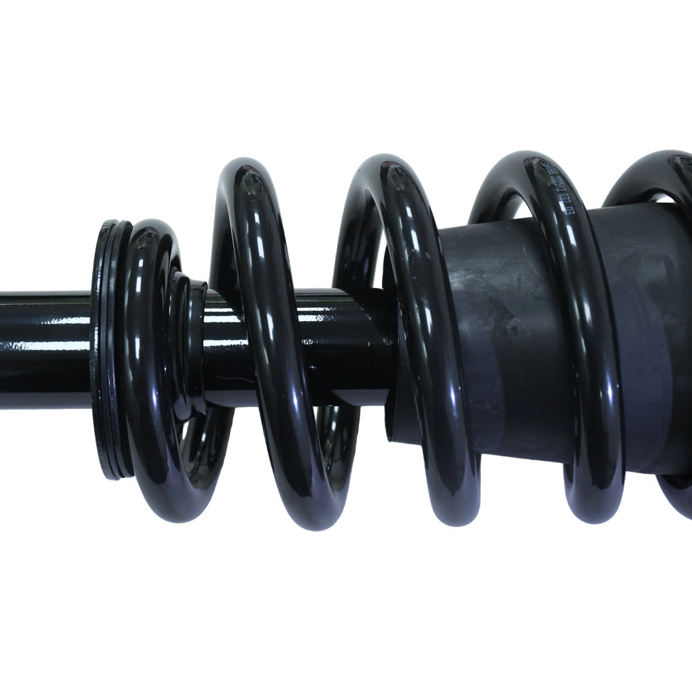 Chevrolet Silverado 1500 2007-2013 Front Strut Assembly