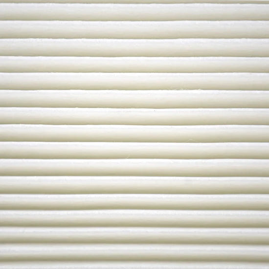Motorcraft FP79 Cabin Air Filter FL3Z19N619A