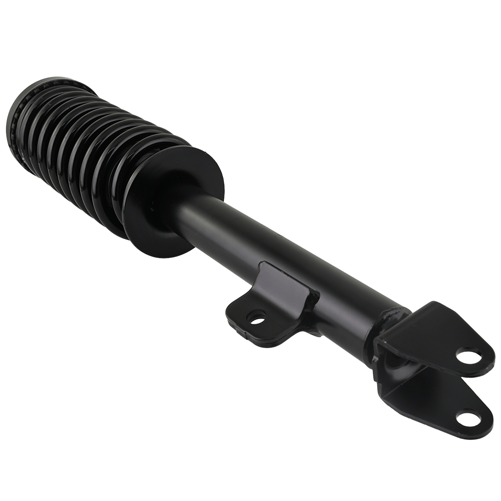 Dodge Charger 2006-2010 Front Strut Assembly w/ Coil Spring
