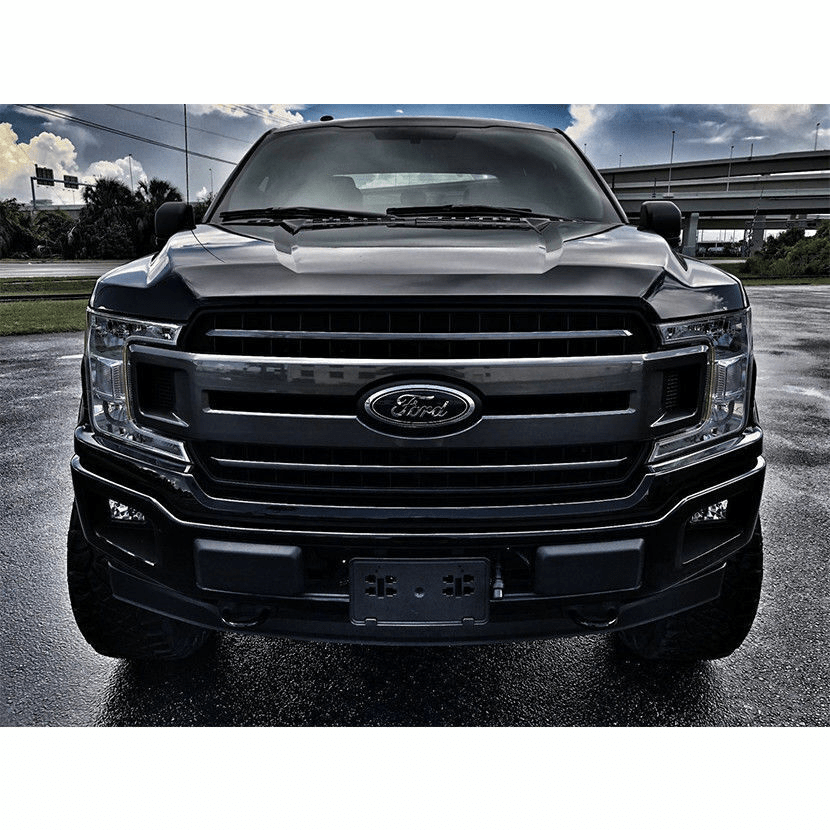 Ford OEM Emblem F150, F250, F350 9" Oval Black Silver AL3Z-9942528-B